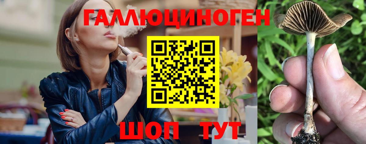 Нововоронеж  Галлюциногенные грибы мицелий  Галлюциногенные грибы Cubensis  Вход с VPN 